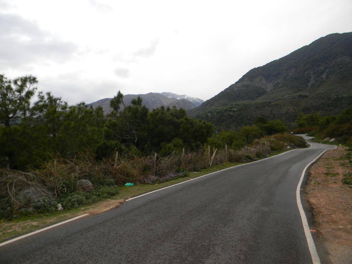 Hillock By In Vogue Βίλα Νταραμσάλα Εξωτερικό φωτογραφία
